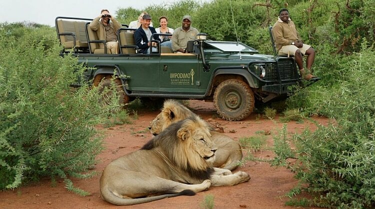 Afrika Safari Turları