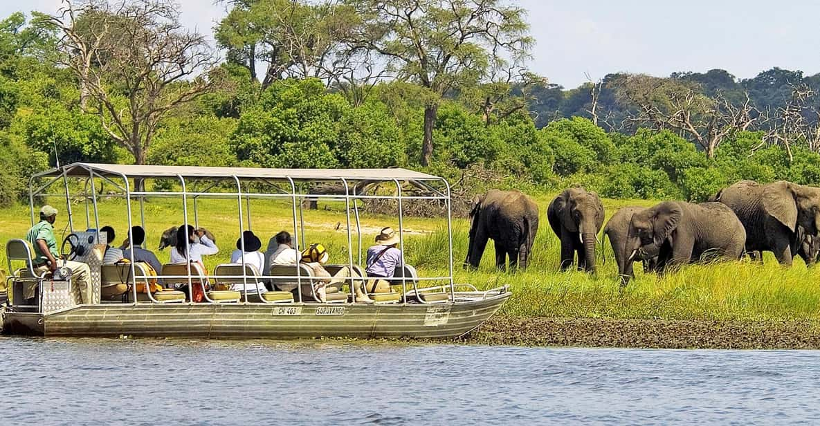 Chobe Ulusal Parkı, Botsvana