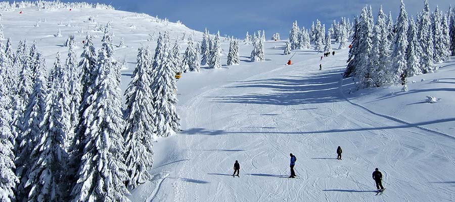 Kopaonik, Sırbistan Kayak Merkezi