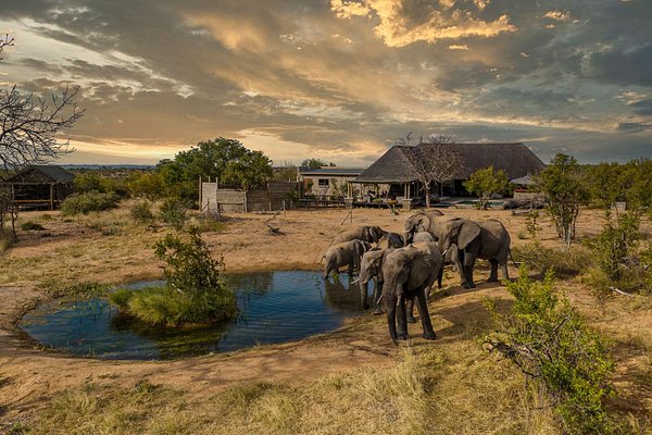 Kruger Ulusal Parkı, Güney Afrika