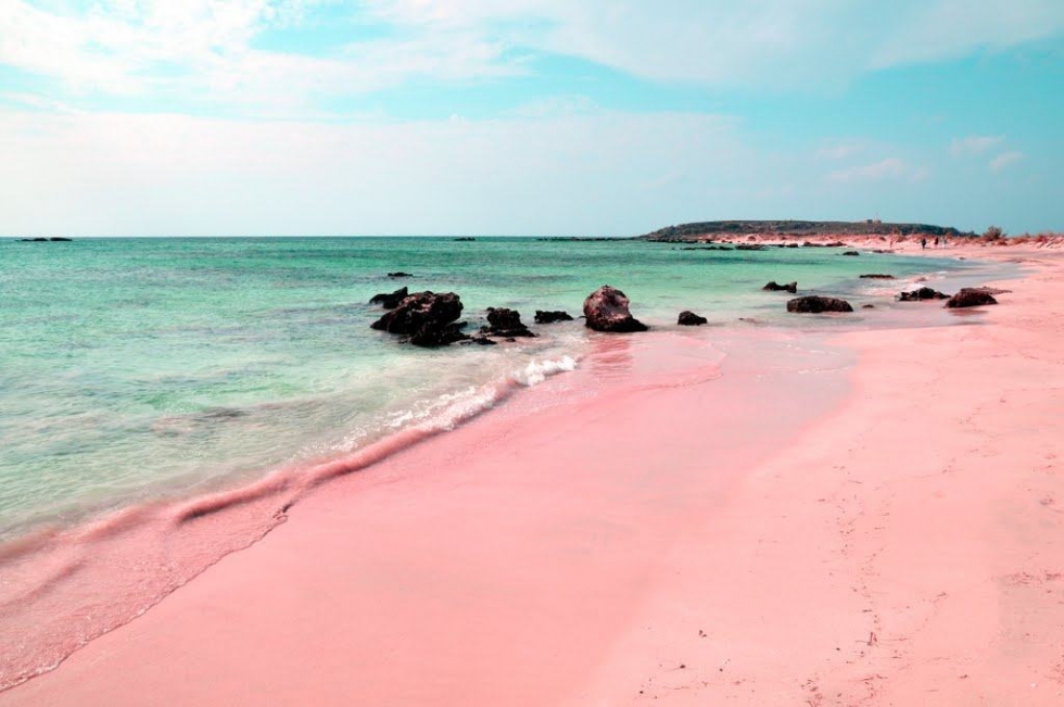 Pink Sands Plajı, Harbour Island