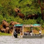 Vizesiz Afrika Safari Turları: Gezilecek Yaban Hayatı Parkları