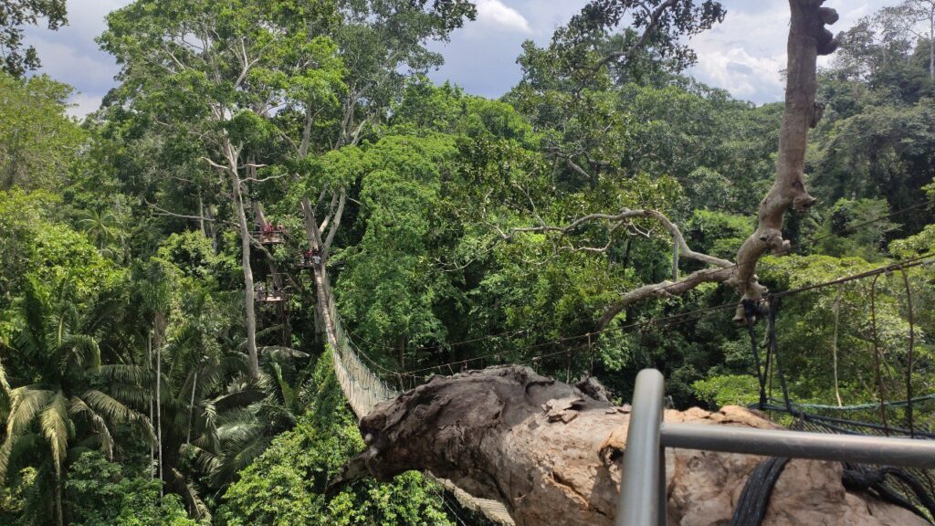 Amazon Yağmur Ormanları, Peru