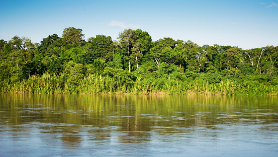 Peru – Amazon Yağmur Ormanları