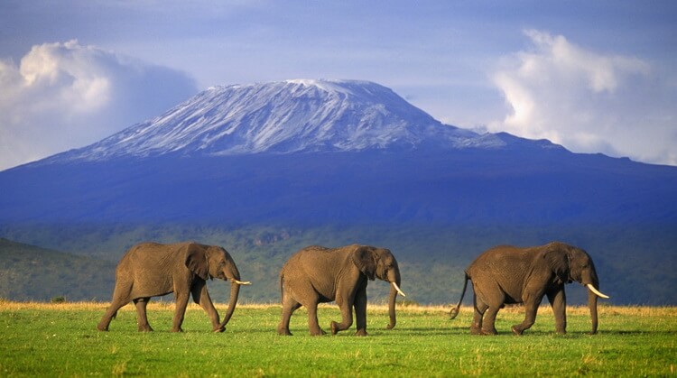 Tanzanya – Kilimanjaro Dağı