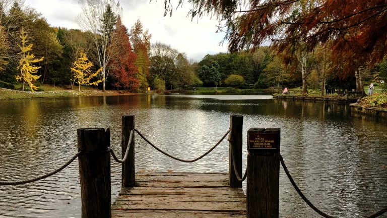 Read more about the article Atatürk Arboretumu: İstanbul’da Ücretsiz Gezilecek Doğa ve Tarih Buluşması