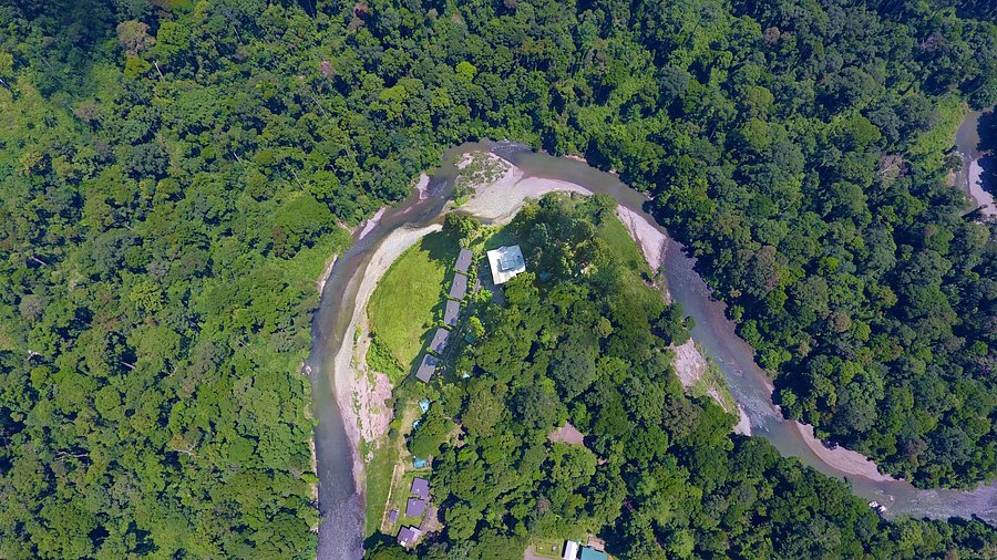 Borneo – Sabah Ormanları, Malezya